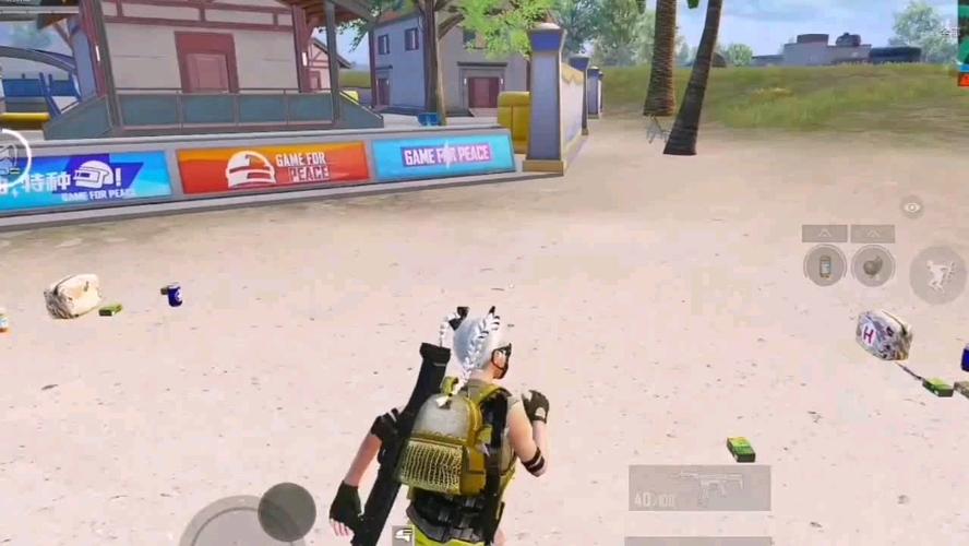 和平精英辅助【星光】